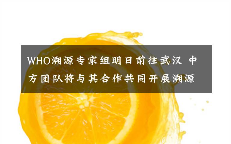 WHO溯源专家组明日前往武汉 中方团队将与其合作共同开展溯源 目前是什么情况？