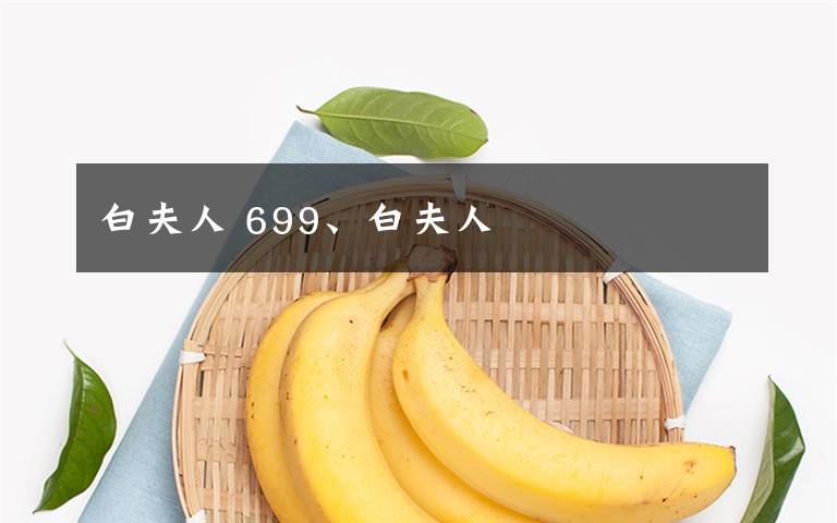 白夫人 699、白夫人