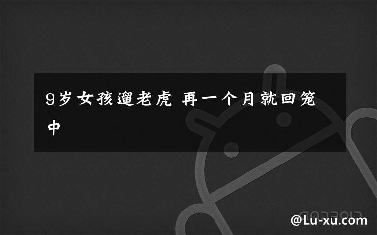 9岁女孩遛老虎 再一个月就回笼中