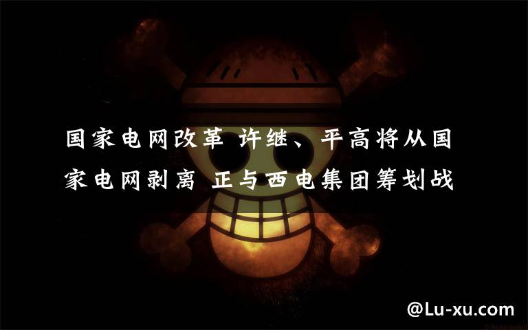 国家电网改革 许继、平高将从国家电网剥离 正与西电集团筹划战略性重组
