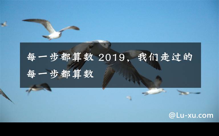 每一步都算数 2019，我们走过的每一步都算数