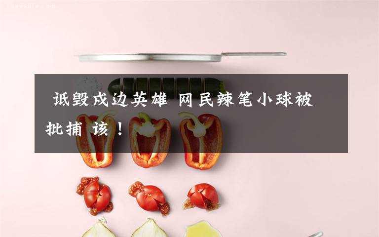  诋毁戍边英雄 网民辣笔小球被批捕 该！