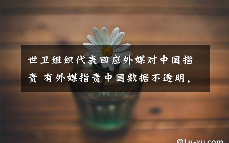 世卫组织代表回应外媒对中国指责 有外媒指责中国数据不透明，世卫组织回应