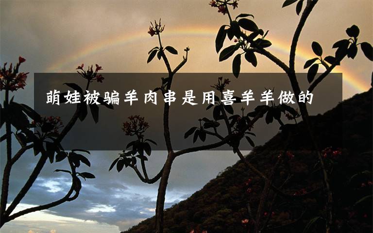 萌娃被骗羊肉串是用喜羊羊做的