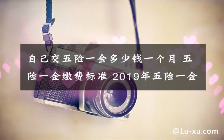 自己交五险一金多少钱一个月 五险一金缴费标准 2019年五险一金一个月要交多少钱