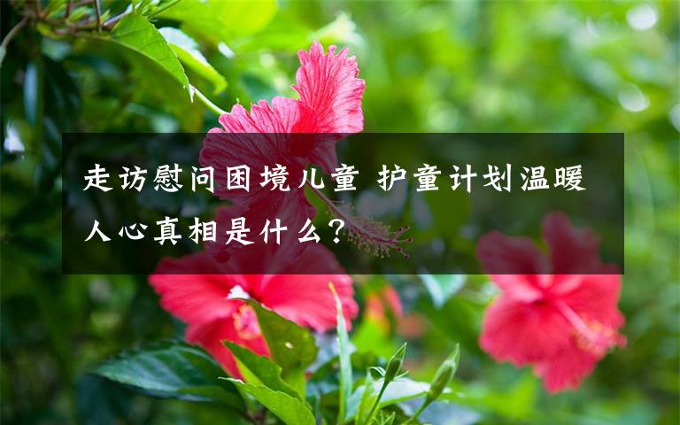 走访慰问困境儿童 护童计划温暖人心真相是什么？