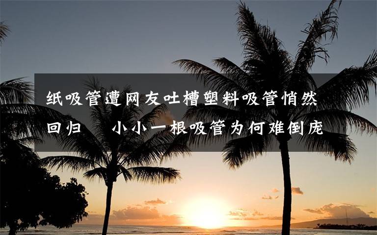 纸吸管遭网友吐槽塑料吸管悄然回归  小小一根吸管为何难倒庞大的茶饮行业？ 到底什么情况呢？