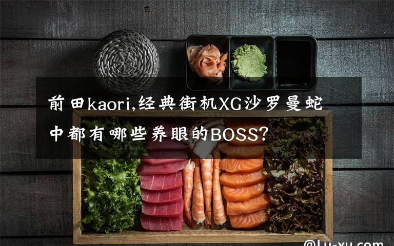 前田kaori,经典街机XG沙罗曼蛇中都有哪些养眼的BOSS？