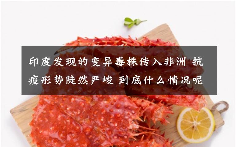 印度发现的变异毒株传入非洲 抗疫形势陡然严峻 到底什么情况呢？