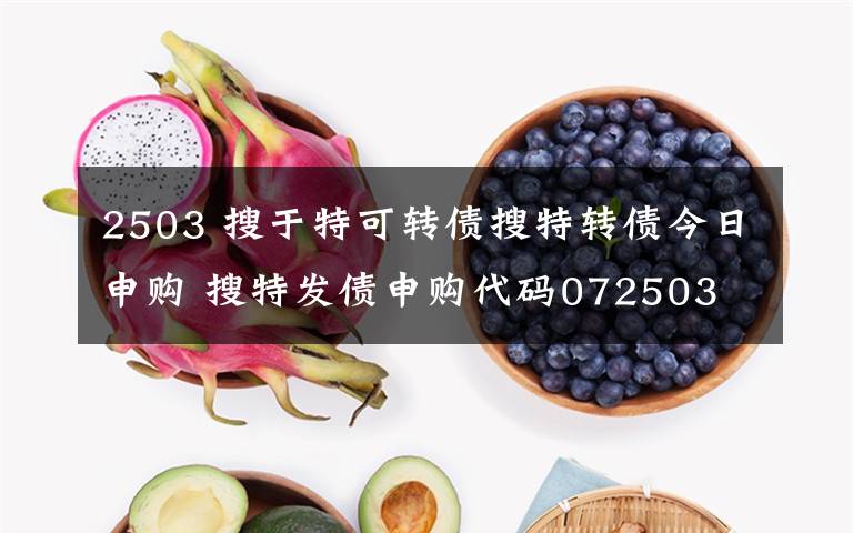 2503 搜于特可转债搜特转债今日申购 搜特发债申购代码072503