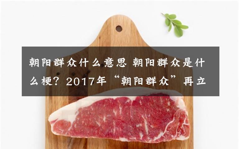 朝阳群众什么意思 朝阳群众是什么梗？2017年“朝阳群众”再立一功