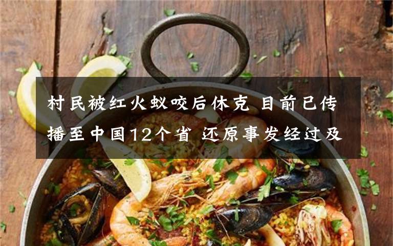 村民被红火蚁咬后休克 目前已传播至中国12个省 还原事发经过及背后真相！