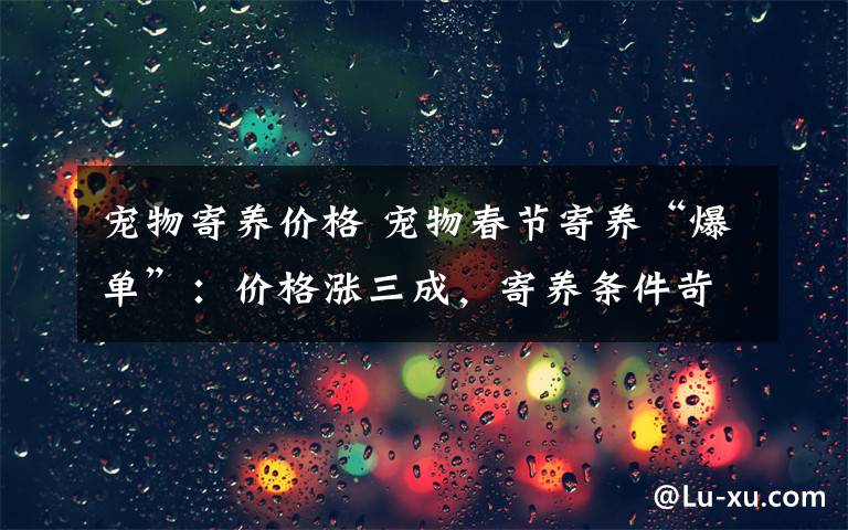 宠物寄养价格 宠物春节寄养“爆单”：价格涨三成，寄养条件苛刻