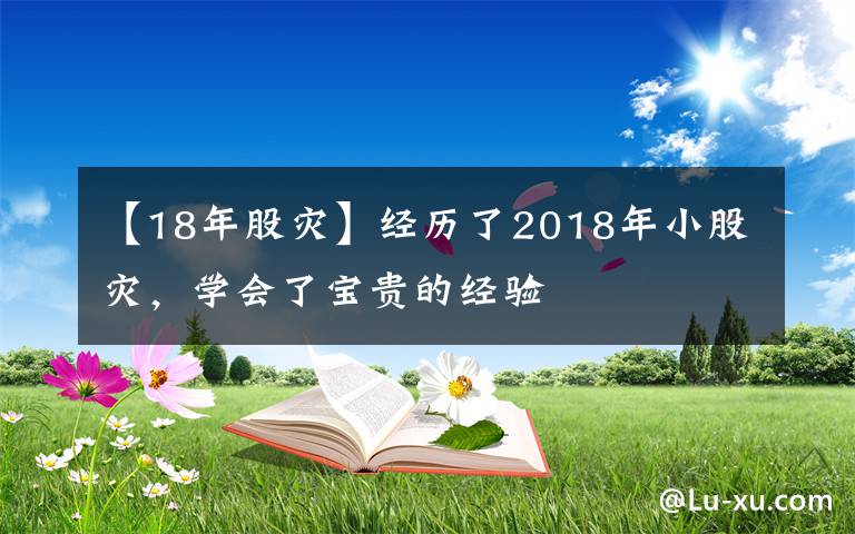 【18年股灾】经历了2018年小股灾，学会了宝贵的经验