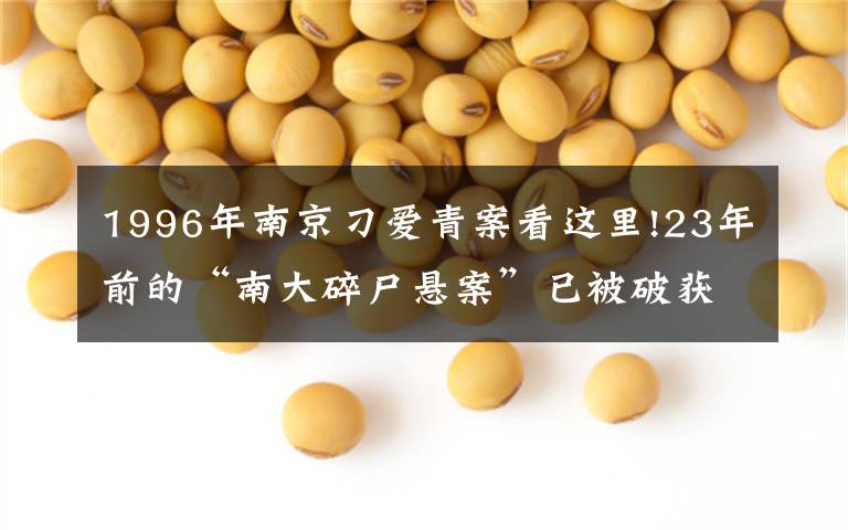 1996年南京刁爱青案看这里!23年前的“南大碎尸悬案”已被破获？警方回应