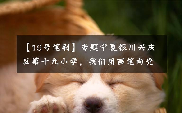 【19号笔刷】专题宁夏银川兴庆区第十九小学，我们用画笔向党致敬