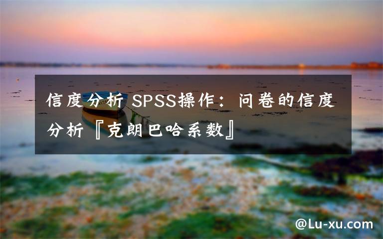 信度分析 SPSS操作：问卷的信度分析『克朗巴哈系数』