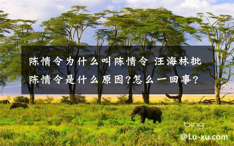 陈情令为什么叫陈情令 汪海林批陈情令是什么原因?怎么一回事?终于真相了,原来是这样!