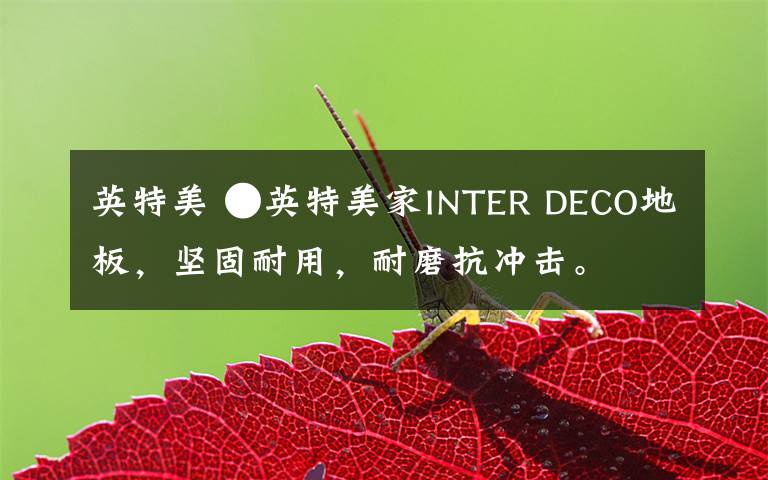 英特美 ●英特美家INTER DECO地板，坚固耐用，耐磨抗冲击。