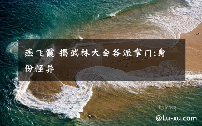燕飞霞 揭武林大会各派掌门:身份怪异