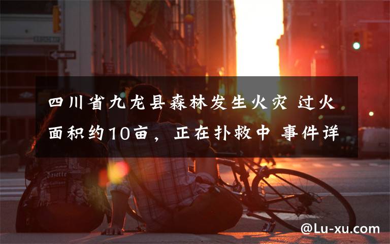 四川省九龙县森林发生火灾 过火面积约10亩，正在扑救中 事件详情始末介绍！