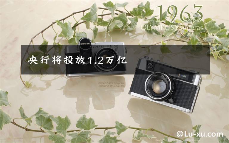 央行将投放1.2万亿