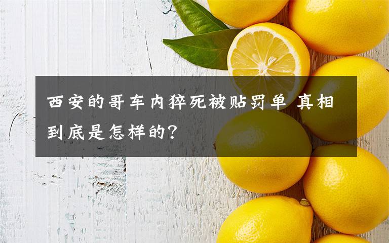 西安的哥车内猝死被贴罚单 真相到底是怎样的？