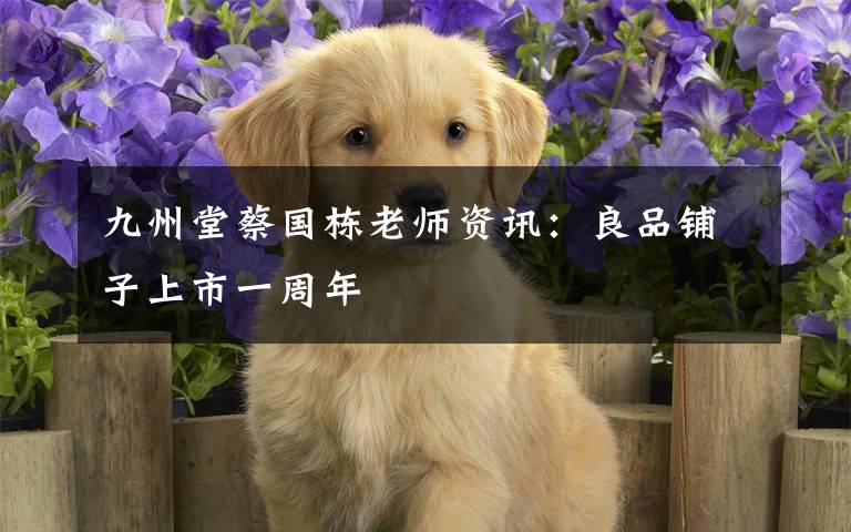 九州堂蔡国栋老师资讯：良品铺子上市一周年