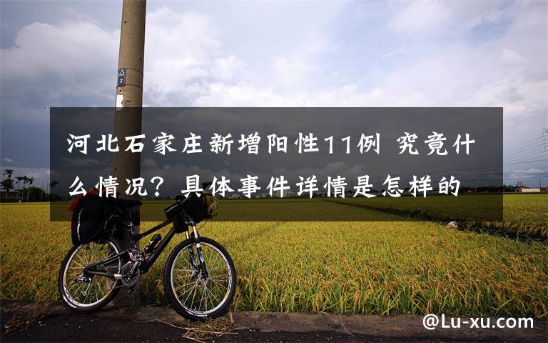 河北石家庄新增阳性11例 究竟什么情况？具体事件详情是怎样的？