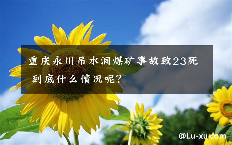 重庆永川吊水洞煤矿事故致23死 到底什么情况呢？
