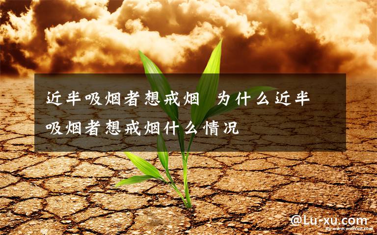 近半吸烟者想戒烟  为什么近半吸烟者想戒烟什么情况