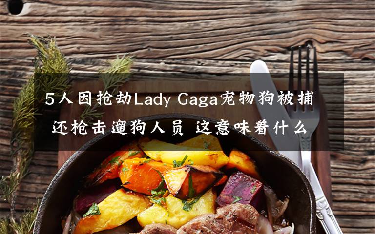 5人因抢劫Lady Gaga宠物狗被捕 还枪击遛狗人员 这意味着什么?