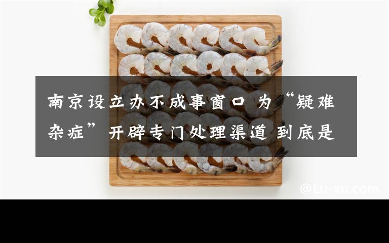 南京设立办不成事窗口 为“疑难杂症”开辟专门处理渠道 到底是什么状况？