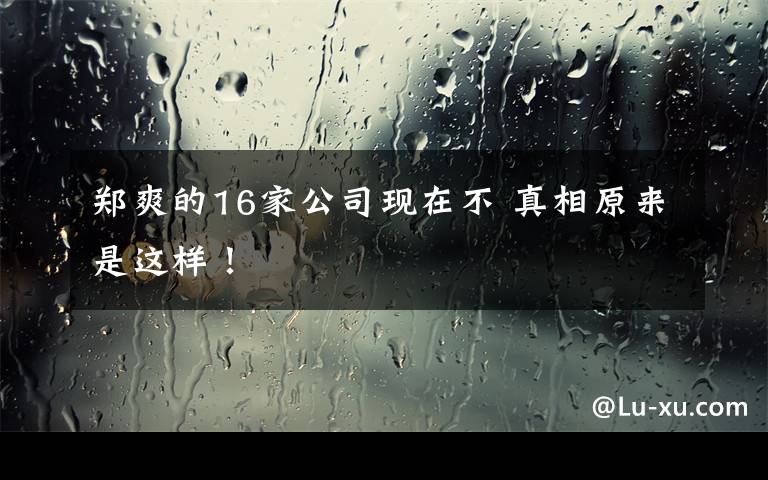 郑爽的16家公司现在不 真相原来是这样！