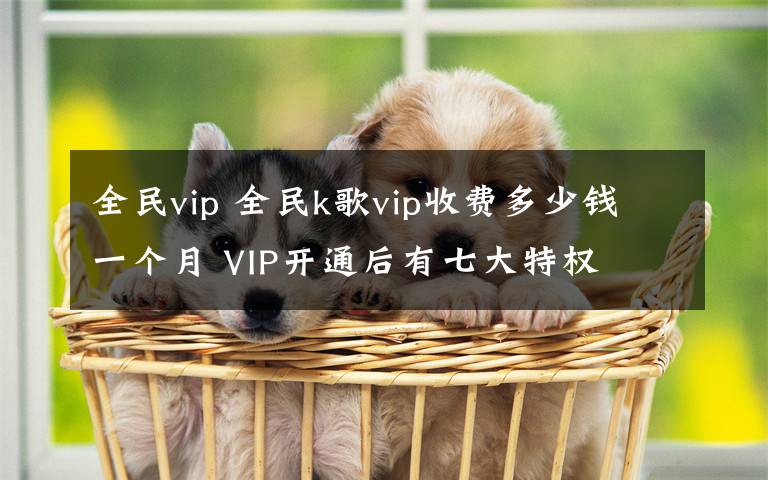 全民vip 全民k歌vip收费多少钱一个月 VIP开通后有七大特权