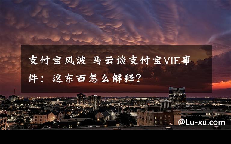 支付宝风波 马云谈支付宝VIE事件：这东西怎么解释？