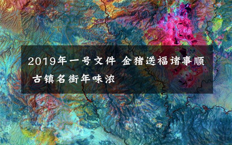 2019年一号文件 金猪送福诸事顺 古镇名街年味浓