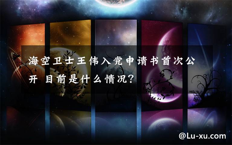 海空卫士王伟入党申请书首次公开 目前是什么情况？
