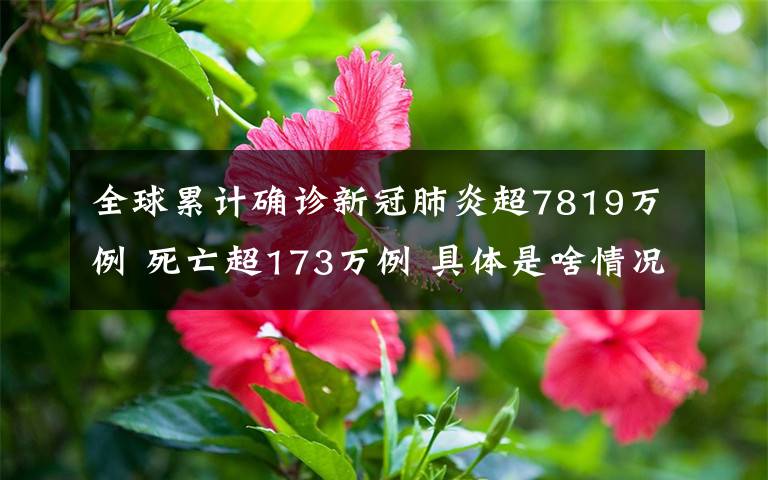 全球累计确诊新冠肺炎超7819万例 死亡超173万例 具体是啥情况?