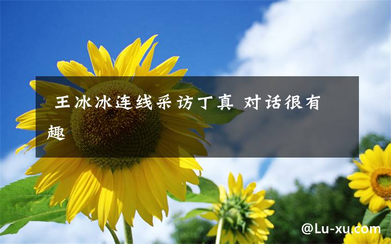  王冰冰连线采访丁真 对话很有趣