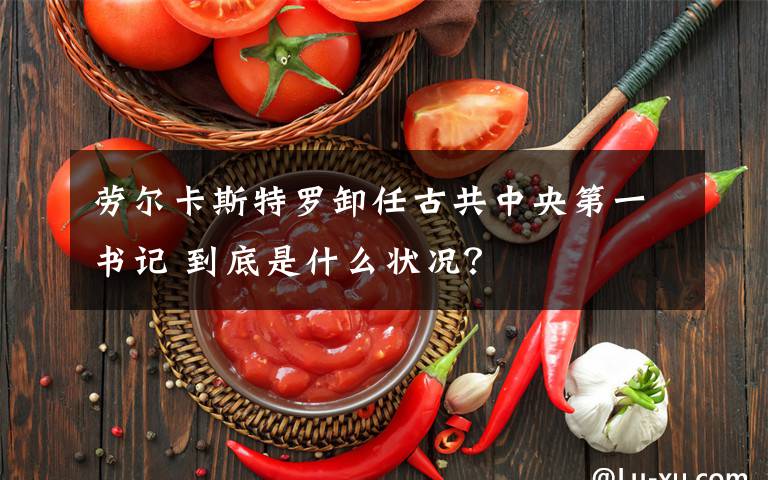 劳尔卡斯特罗卸任古共中央第一书记 到底是什么状况？