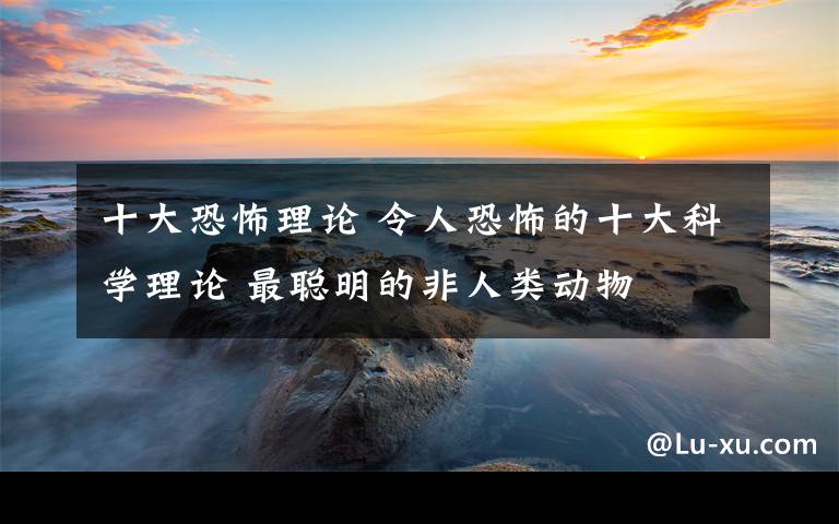 十大恐怖理论 令人恐怖的十大科学理论 最聪明的非人类动物