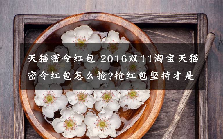 天猫密令红包 2016双11淘宝天猫密令红包怎么抢?抢红包坚持才是硬道理