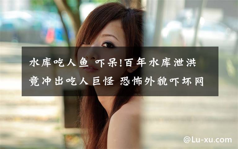 水库吃人鱼 吓呆!百年水库泄洪竟冲出吃人巨怪 恐怖外貌吓坏网友