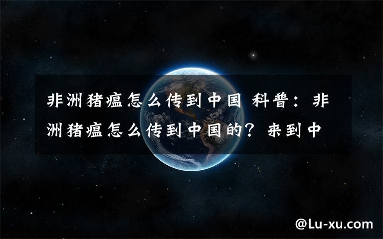 非洲猪瘟怎么传到中国 科普：非洲猪瘟怎么传到中国的？来到中国原因