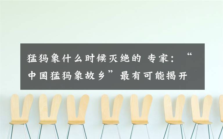 猛犸象什么时候灭绝的 专家：“中国猛犸象故乡”最有可能揭开猛犸象灭绝谜底
