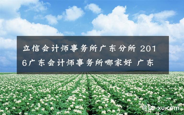 立信会计师事务所广东分所 2016广东会计师事务所哪家好 广东会计师事务所排名前100名单