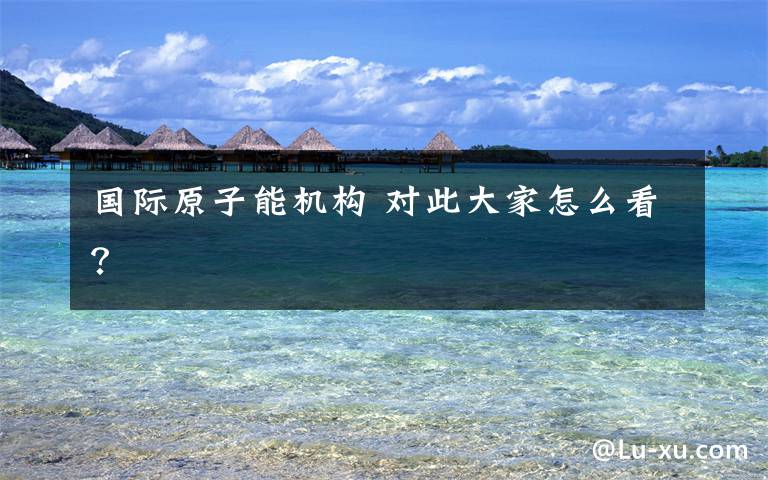 国际原子能机构 对此大家怎么看？