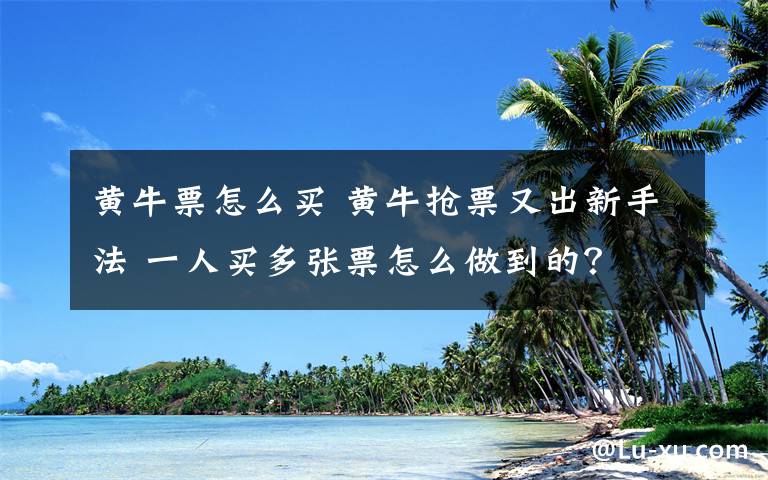 黄牛票怎么买 黄牛抢票又出新手法 一人买多张票怎么做到的？