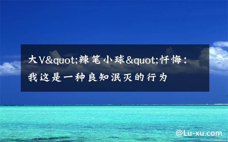 大V"辣笔小球"忏悔：我这是一种良知泯灭的行为